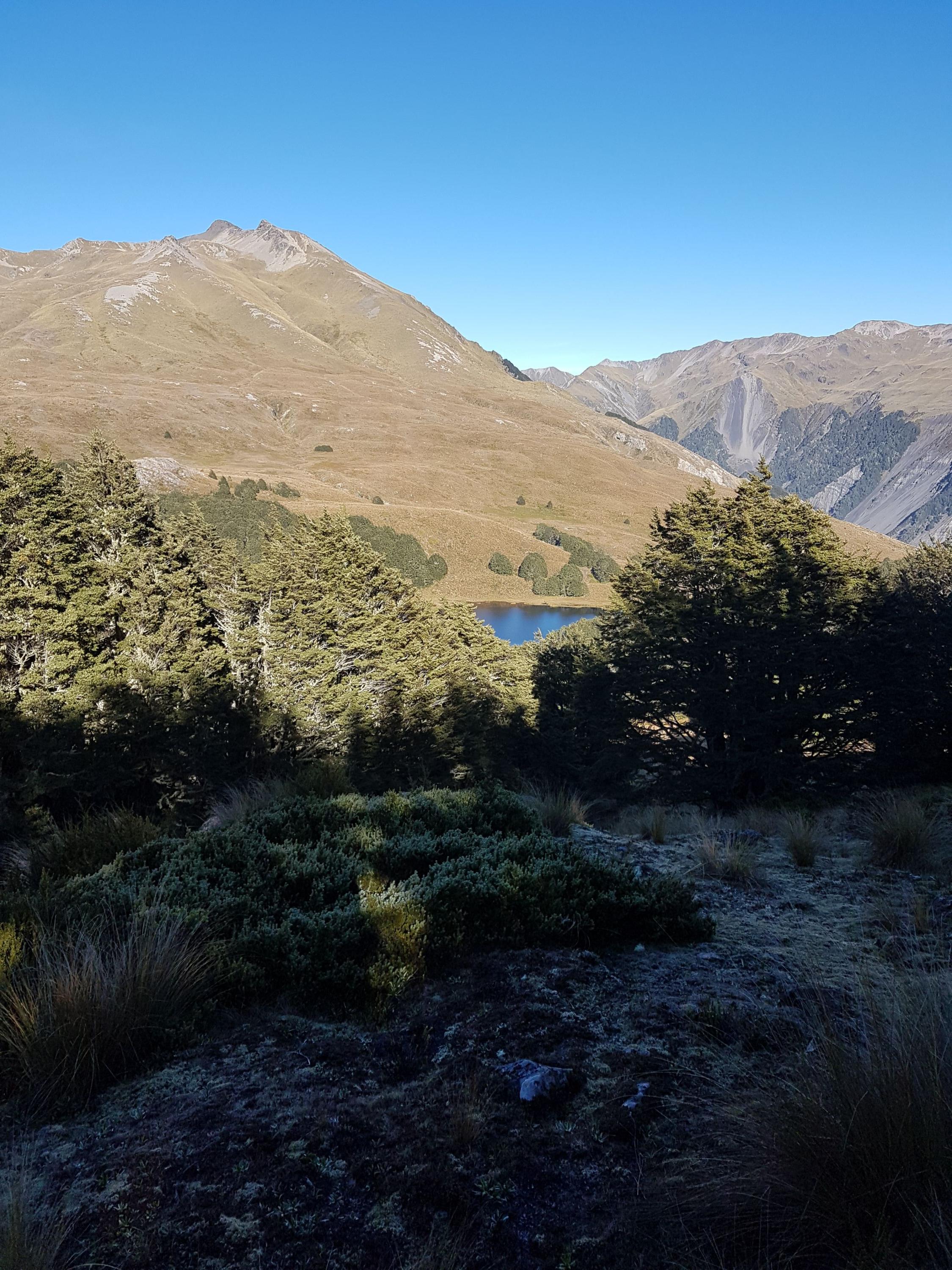 CassLagoon Trail, Canterbury Trails Photo Gallery Wild Things