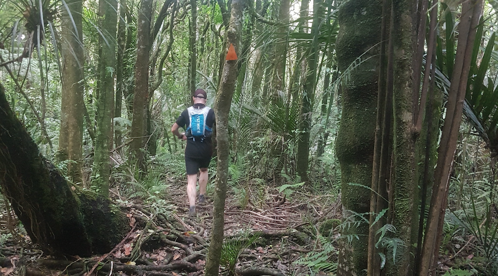 Hakarimata Scenic Reserve Trail - Wild Things