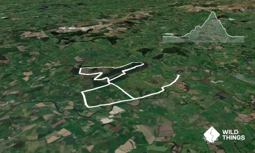 Banteer-Mt Hillary loop