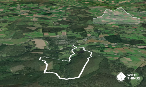 Birsemore Loop