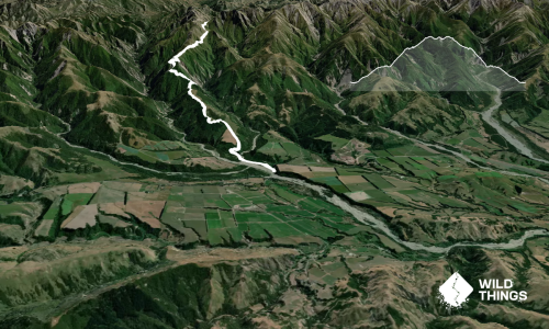 Blind Saddle