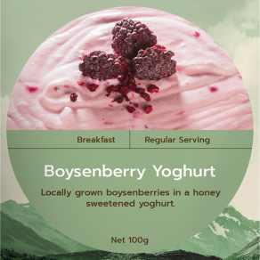 Real Meals Boysenberry Yoghurt