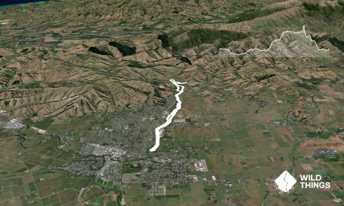 Dam, River and Vines