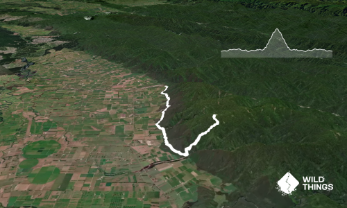Galatea foothills and Tawhiuau