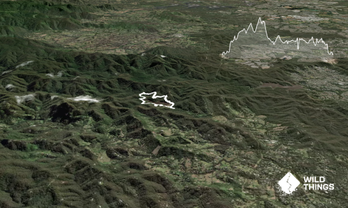 Gold Creek Loop
