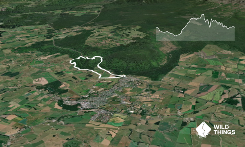 Hapuawhenua Viaduct Loop