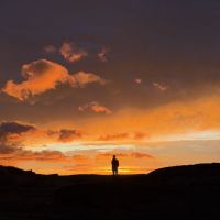 Finlay Smith
