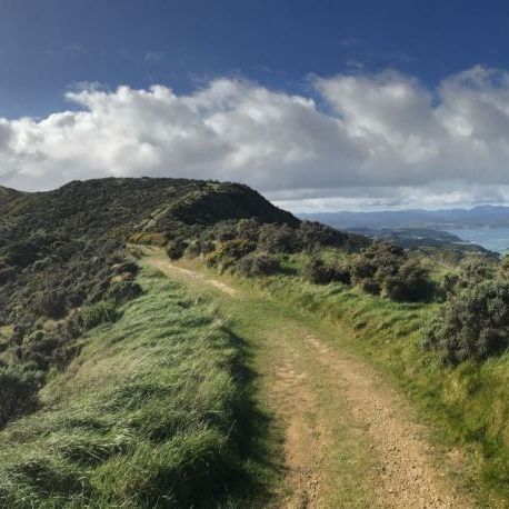 Wellington