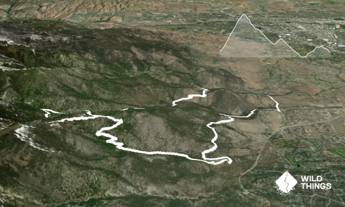 Jones-Whites Creek Loop + Church Pond