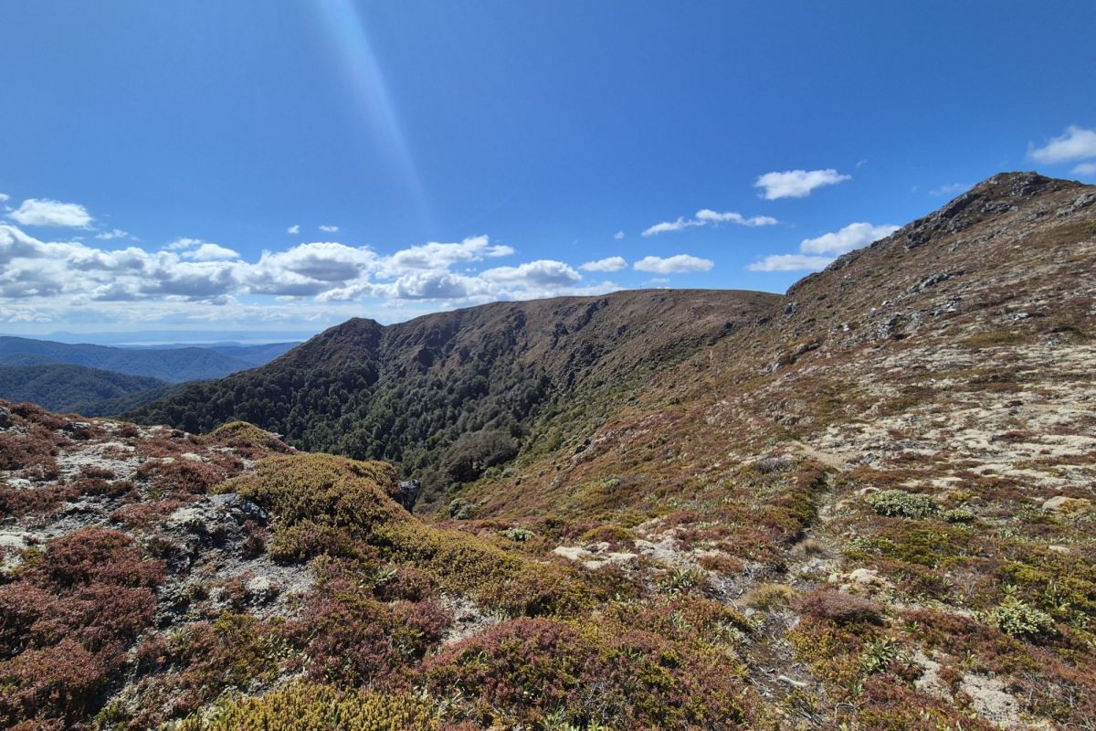 Trail running in Taupō