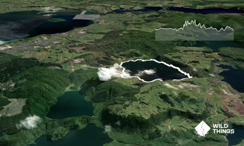 Lake Okareka Full Loop