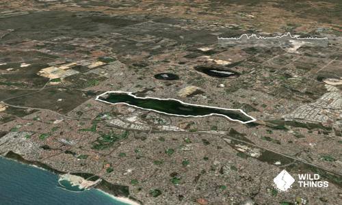 Lap of Lake Joondalup