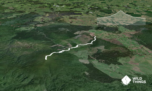Mount Pureora