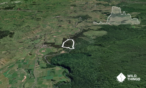 Ohinetonga Scenic Reserve - Owhango