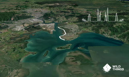 Onerahi Foreshore and Waimahanga