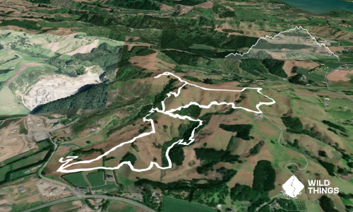 Pāpāmoa Hills Summit Loop