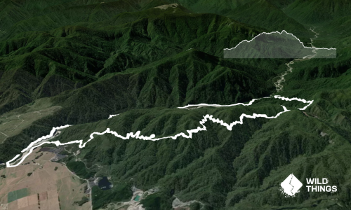 Painkiller Devil's Tail loop