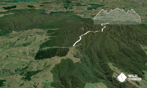 Pirongia Summit via Hihikiwi 