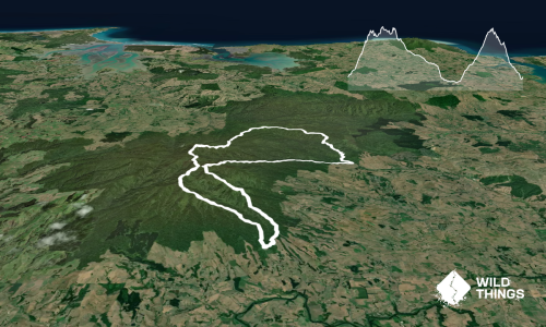 Pirongia Trail Run - Munter