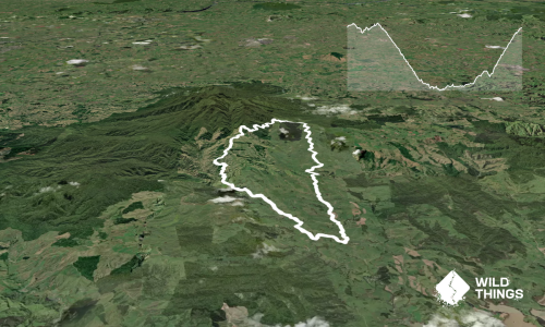 Pirongia West Loop