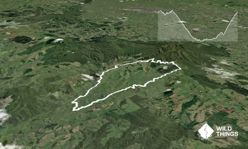 Pirongia West Loop