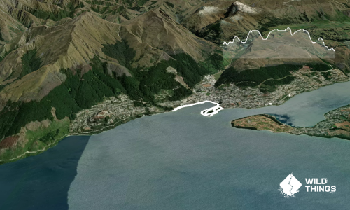 Queenstown Lake and Gardens