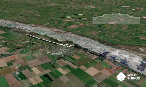 Rakaia River Terrace