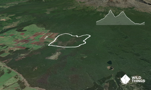Ramble Above Rangatau 