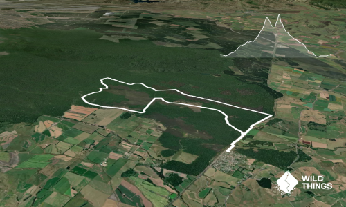 Rangataua Forest Lap