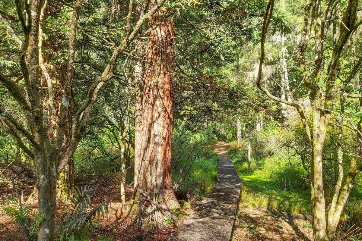 Rotorua