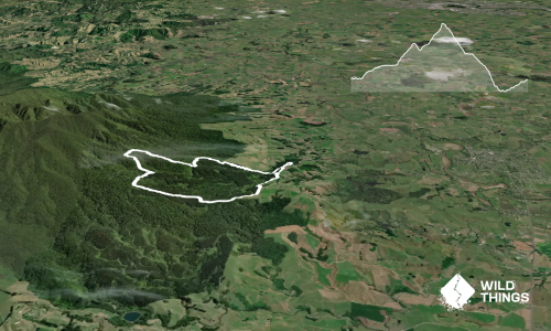Sainsbury Forest Foot Loop