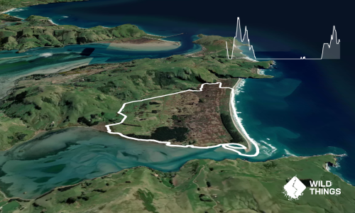 Pyramids to Papanui via Victory Beach