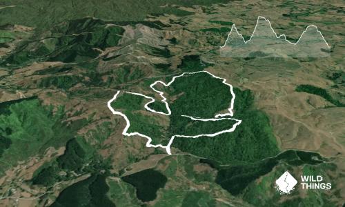Ed Hillary Hope Reserve Loop