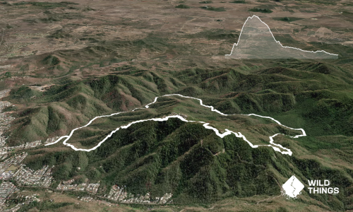 Mt Archer Loop