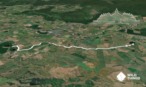 Cemetery to cemetery