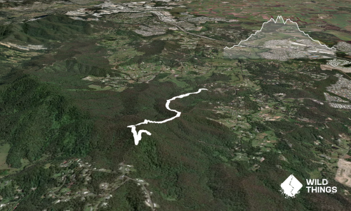 Mount Wongawallan Wander