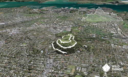 Mangawhau Summit Trails