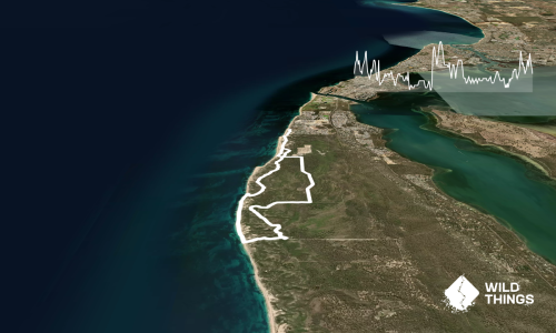 Melrose Beach to White Hill Loop