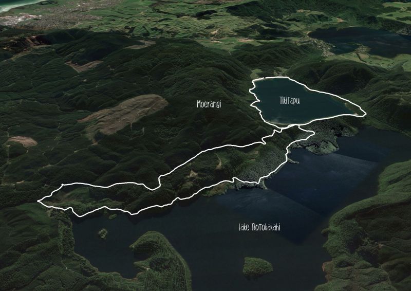 Blue and Green Lake Loops, Rotorua Trail Run Directory Wild Things