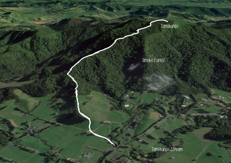 Mt Tamahunga