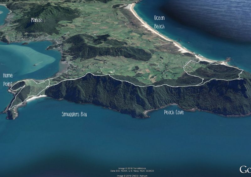 Bream Head Te Whara Trail