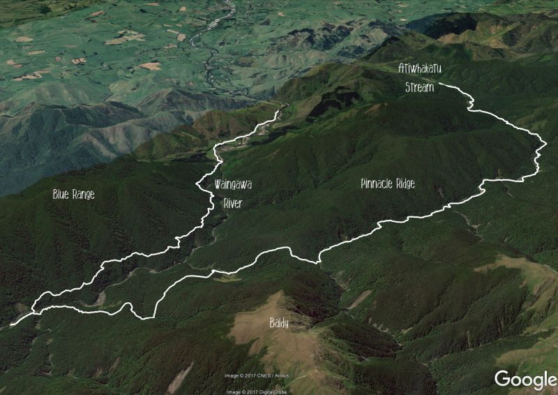 Kaituna to Holdsworth Lodge