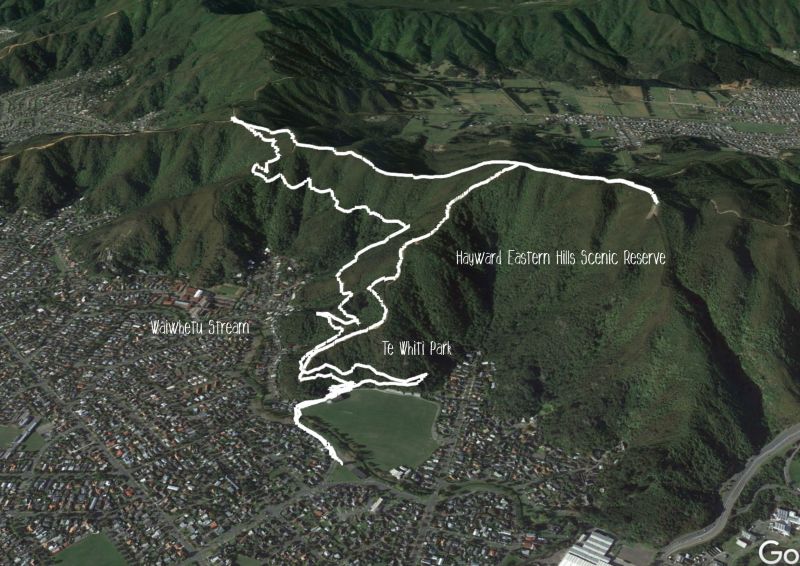 Te Whiti Firebreak Calf Burn