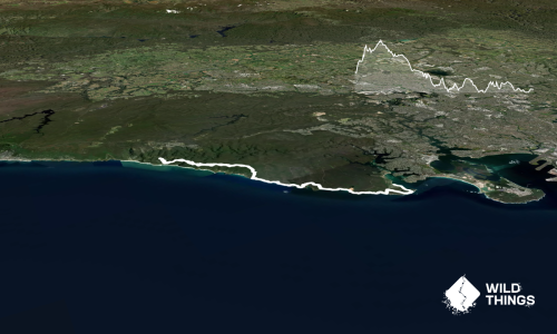 Sydney Coastal Classic