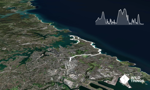 Sydney Coastal Tour