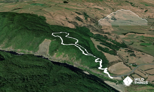 Tawa Loop - Manawatu Gorge