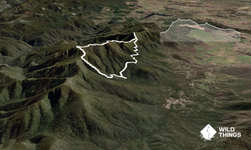 Tidbinbilla Mountain - Camels Hump Loop