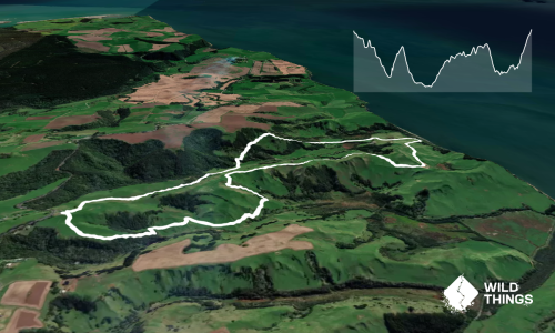 Te Rau Puriri Regional Park