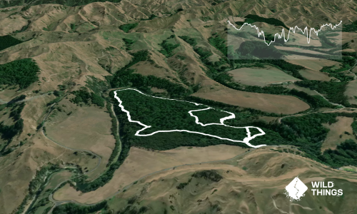 Sutherland's Puriri Bush
