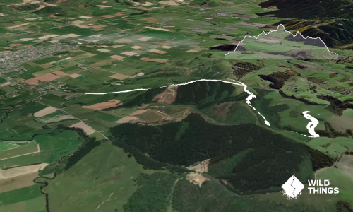 McNally Meander